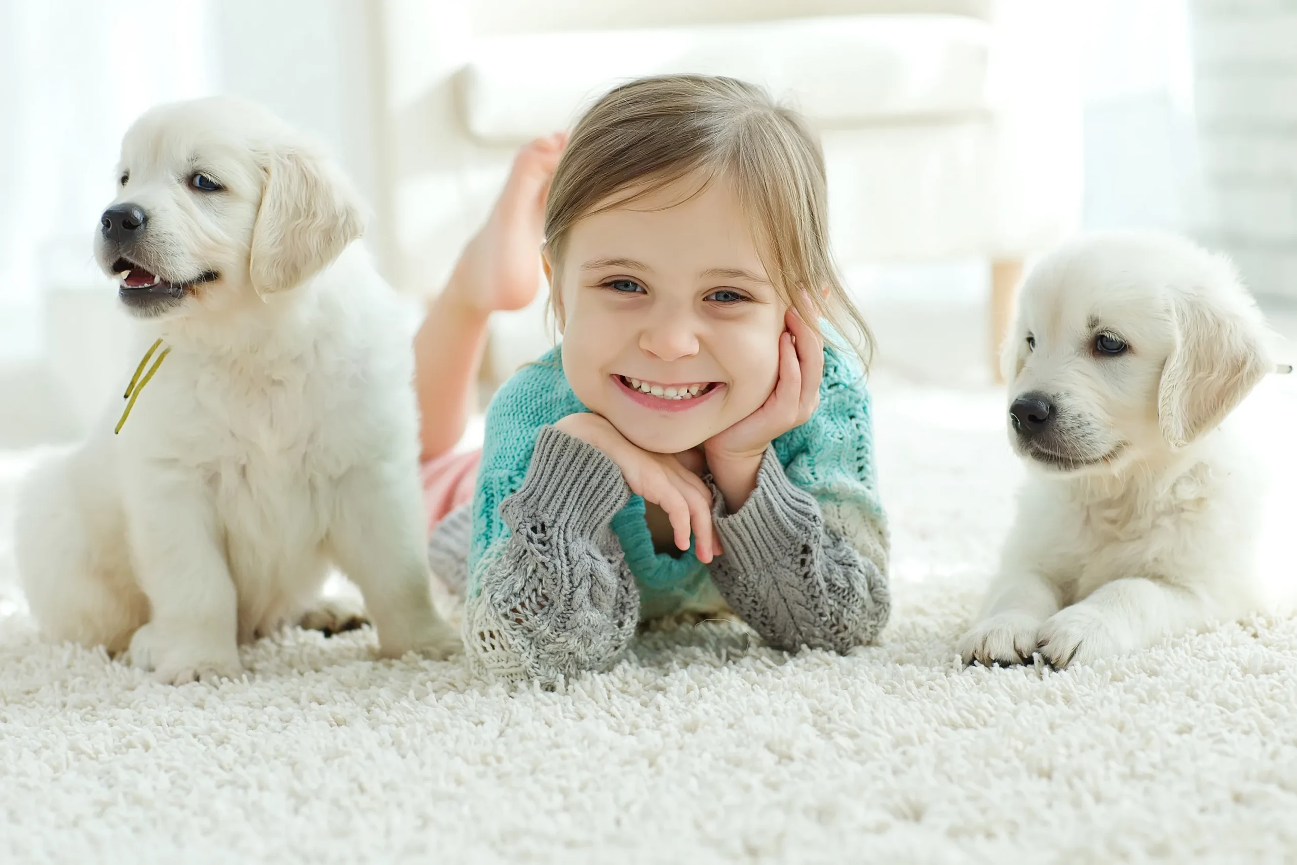 Puppy Manners